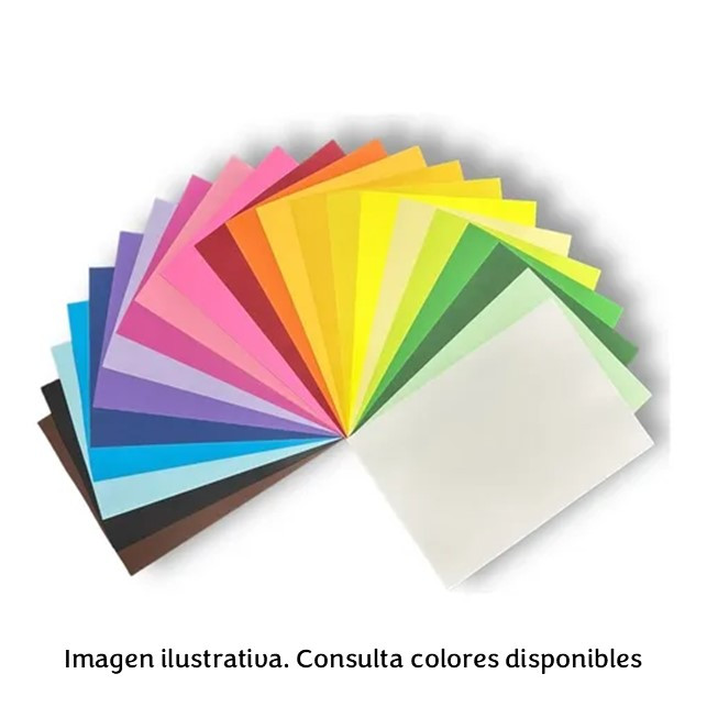 HOJA DE COLOR