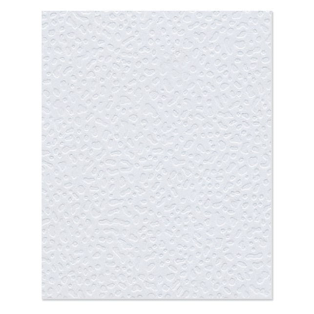CARTULINA BLANCA