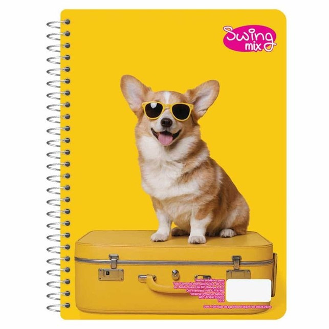 CUADERNO PROF C7 (SWING) 100H